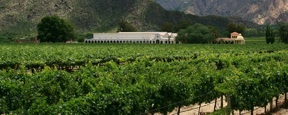 20. Cafayate Winery